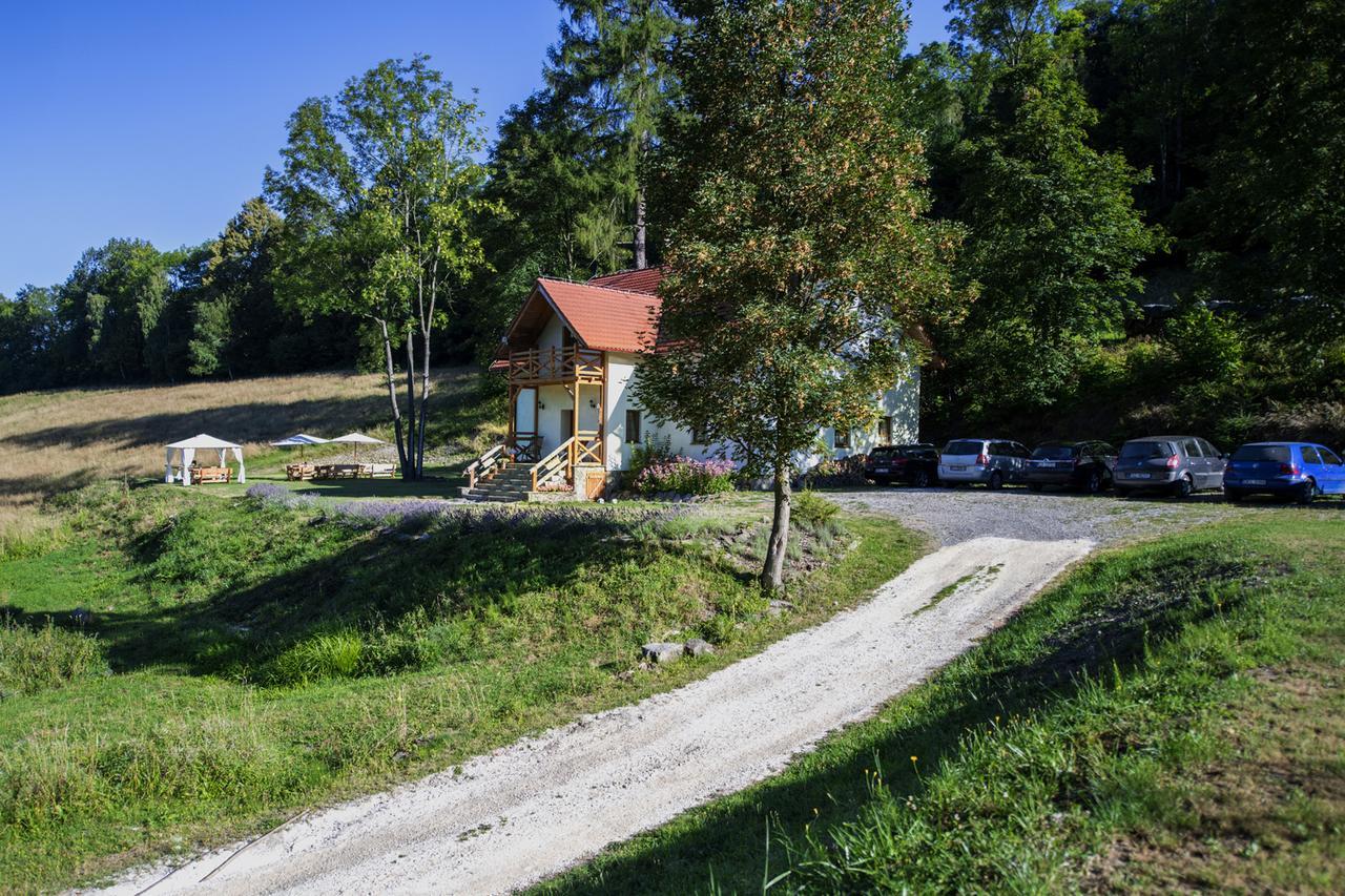 Pensjonat Pod Gora Karczmisko Konradow  Exteriér fotografie