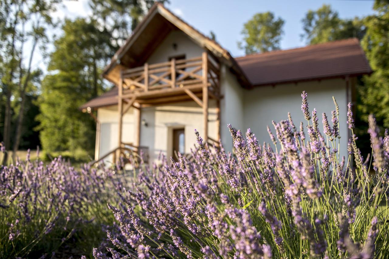 Pensjonat Pod Gora Karczmisko Konradow  Exteriér fotografie
